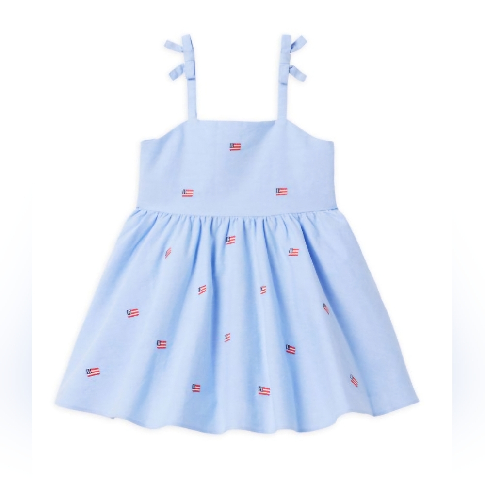 Janie & Jack Americana embroidered flag dress